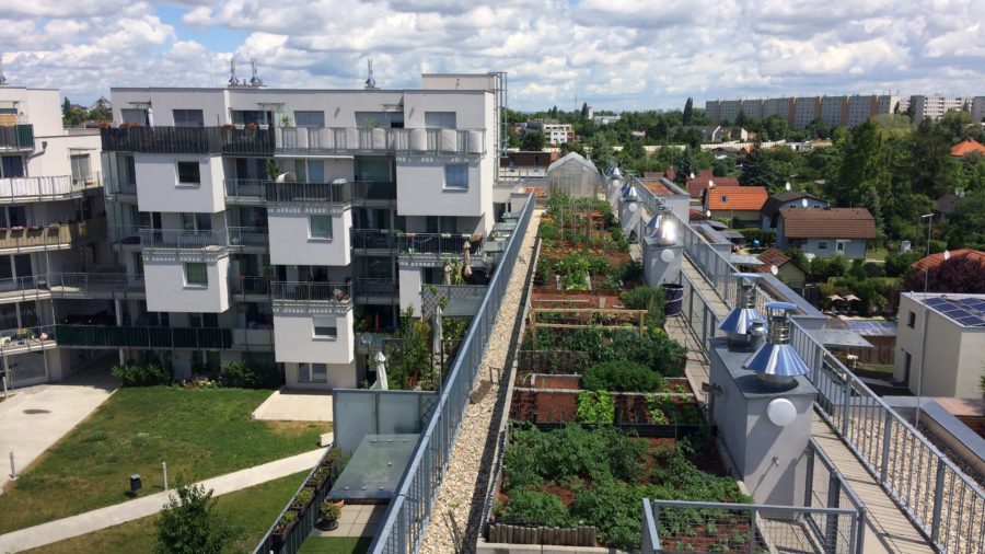 Flächen für urban gardening