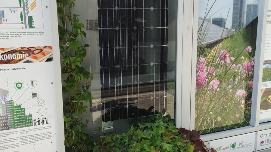 Fassadenbegrünung mit Kletterpflanzen und Photovoltaik