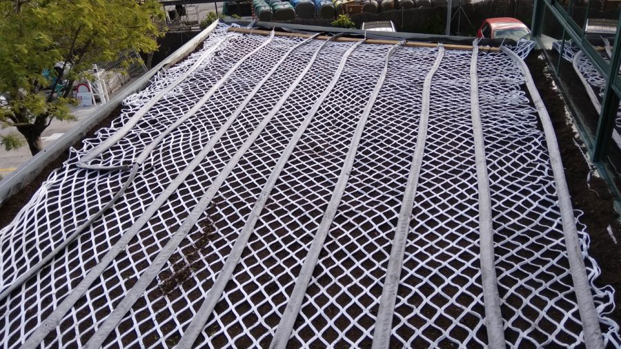 Dachbegrünung mit BlueLite-Net, dem unterirdischen  Bewässerungssystem Bewässerung/Dachbegrünu