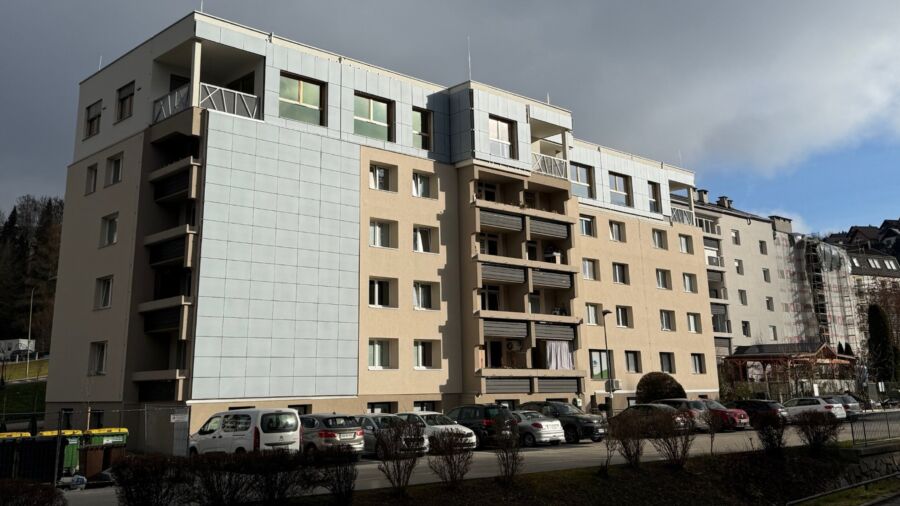 Slowenisches Demogebäude (c) STAN