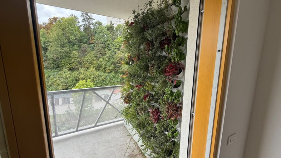 Vertikalbegrünung am slowenischen Demogebäude (c) Eurac Research