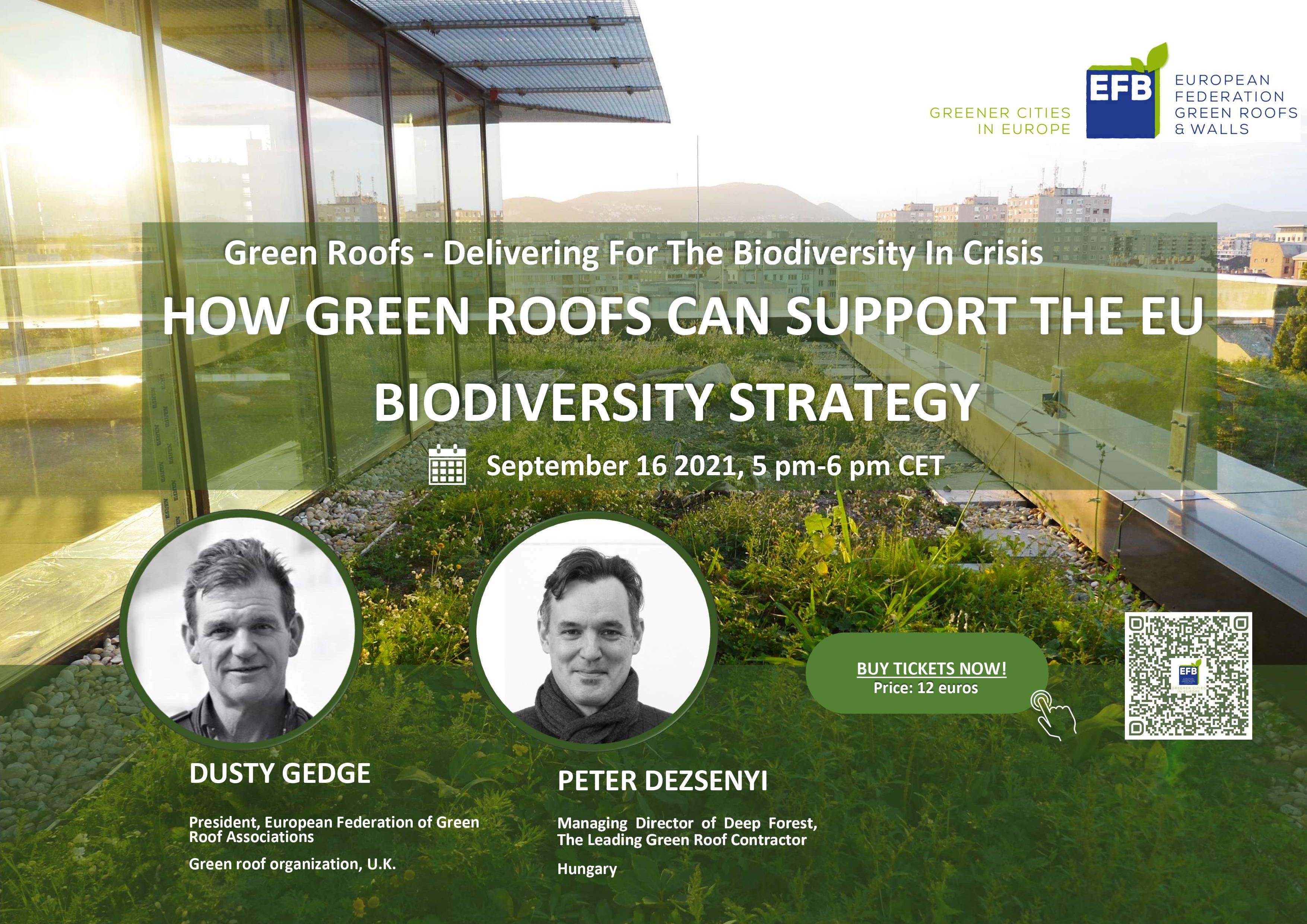 Webinar Flyer