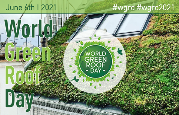 GRÜNSTATTGRAU unterstützt den Aktionstag World Green Roof Day am 6. Juni 2021!