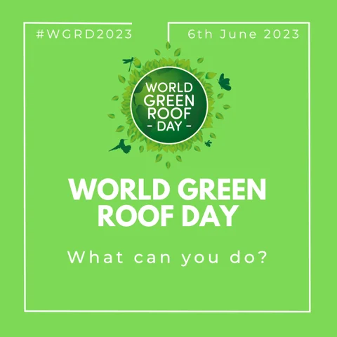 World-Green-Roof-Day-ideas0