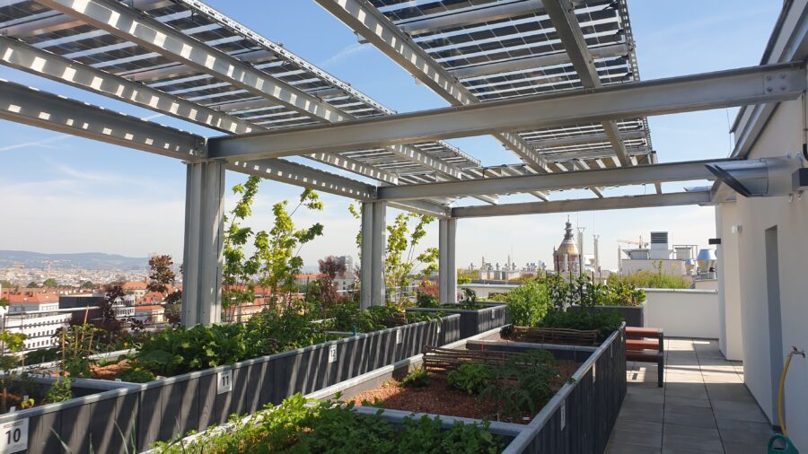 Kombination unterschiedlicher Nutzungen auf dem Dach - Photovoltaik und Urban Gardening (c) BOKU ILAP 