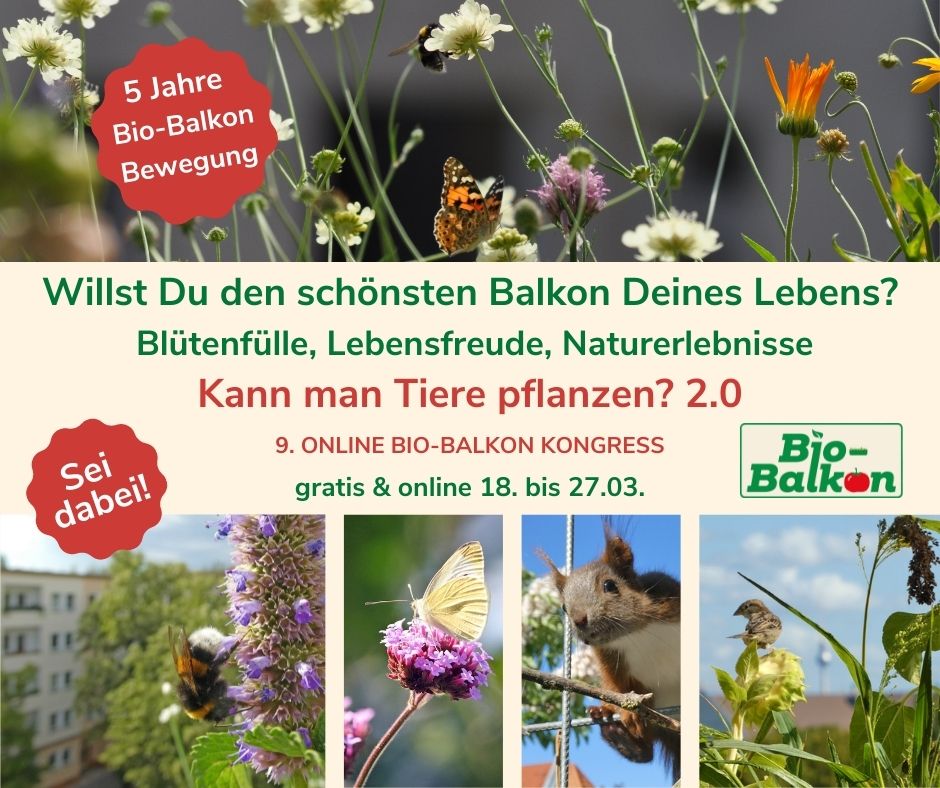 1-tiere-pflanzen-2022-werbebebild_fb-final