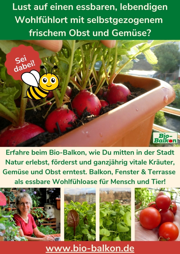 Flyer Seite 2