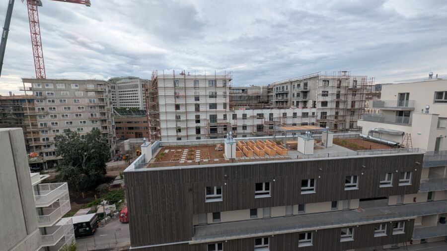 Dachbegrünung mit extensiver und intensiver Begrünung, Möglichkeit zum urban Gardening, Versuchsfläche und Bienenstöcken  (Foto: GRÜNSTATTGRAU)