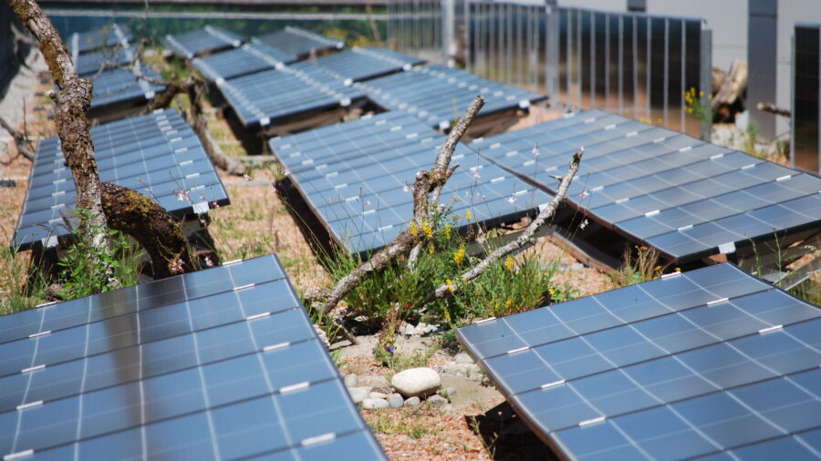 Solargründach mit Biodiversitätselementen