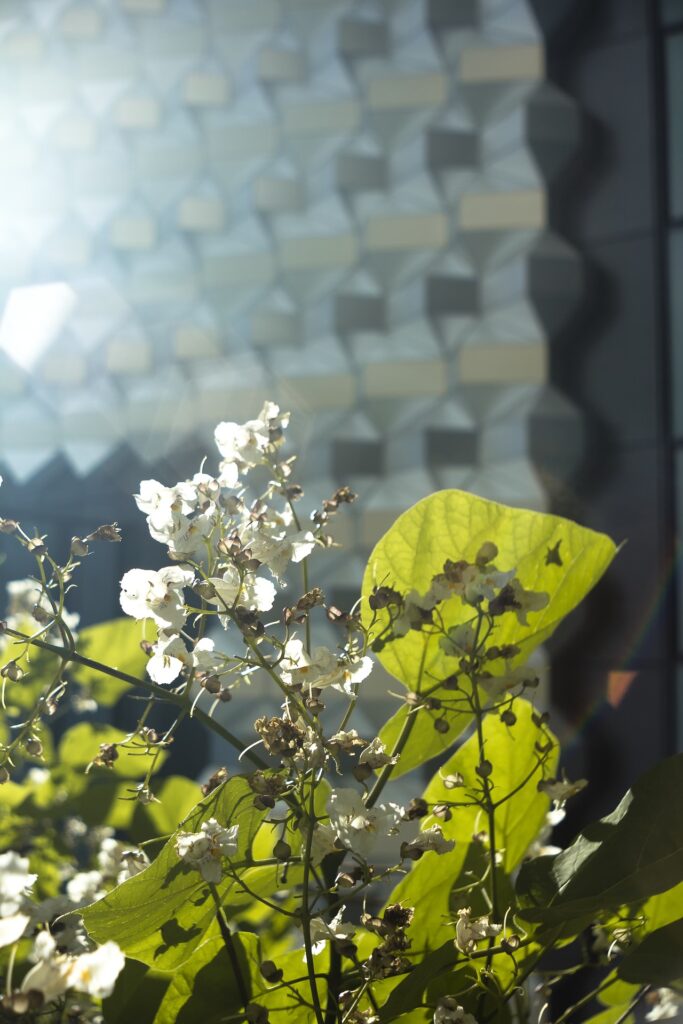 Klimawandel in der Stadt