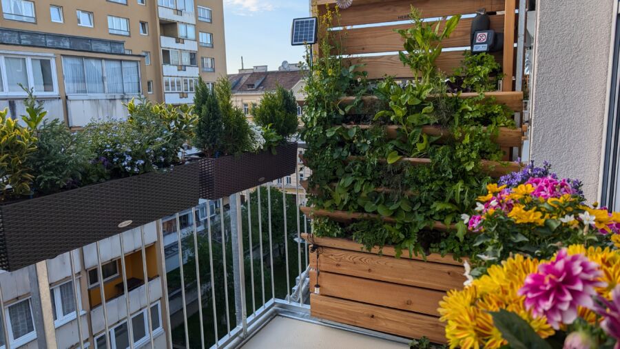 Von den Bewohnern mit eigener Begrünung erweiterter Balkon
