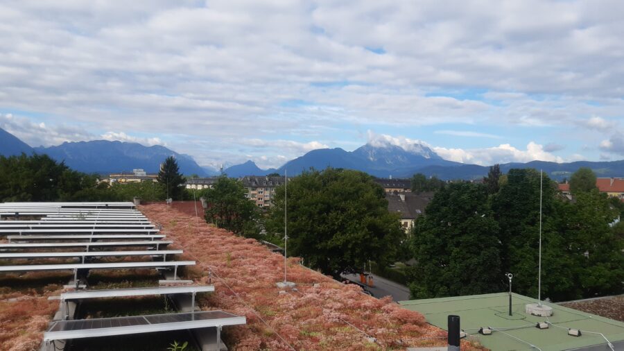 Solargründach am Schulgebäude (C) Rainer-Schöpf