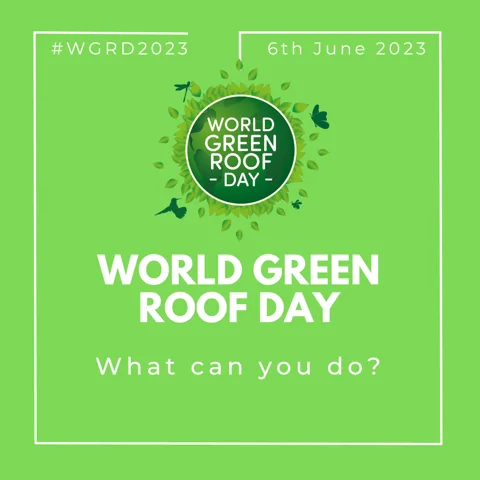 GRÜNSTATTGRAU unterstützt den Aktionstag World Green Roof Day am 6. Juni 2023. Sei Teil der Bewegung! #worldgreenroofday
