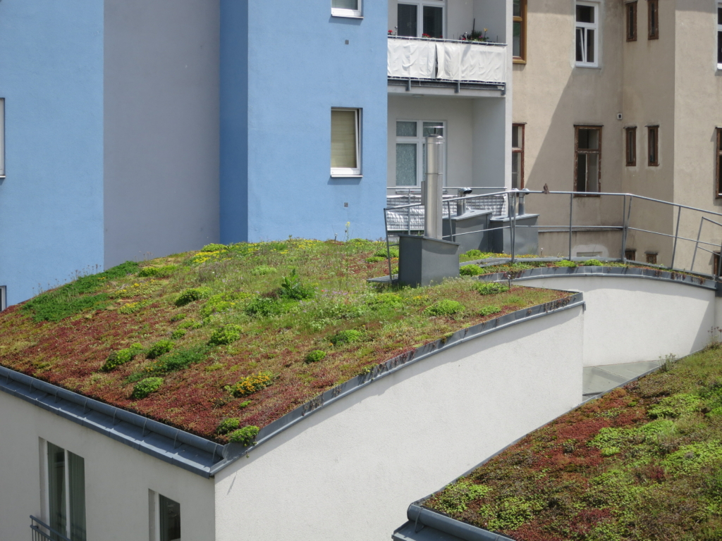 extensives Gründach