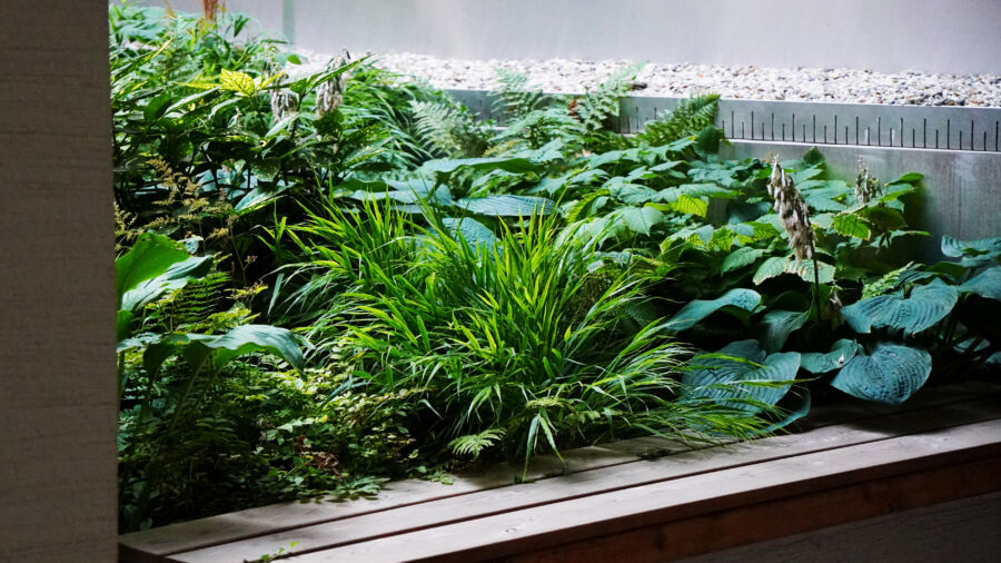 Begrünung der Terrassen (C)Raintime Gmbh