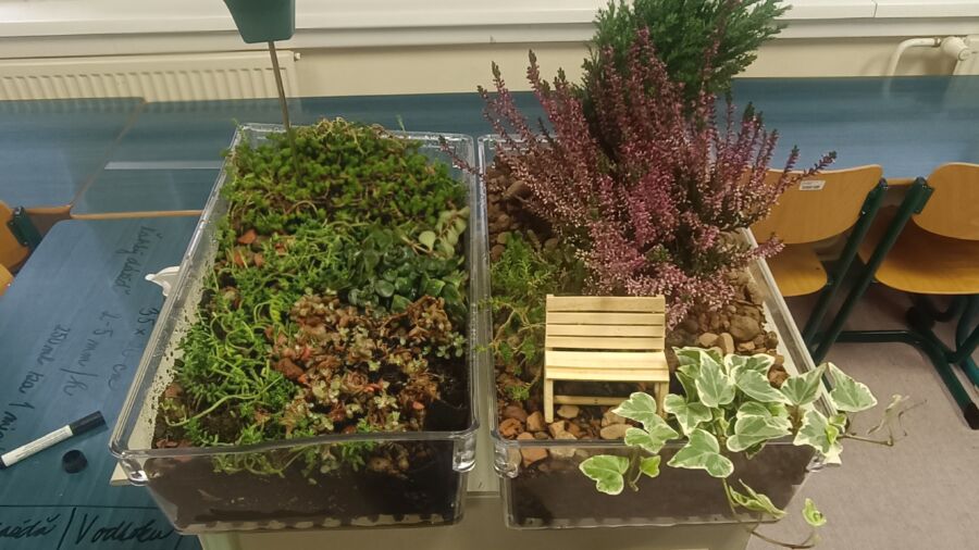 GREENCHAR Event in Trnava University with models 