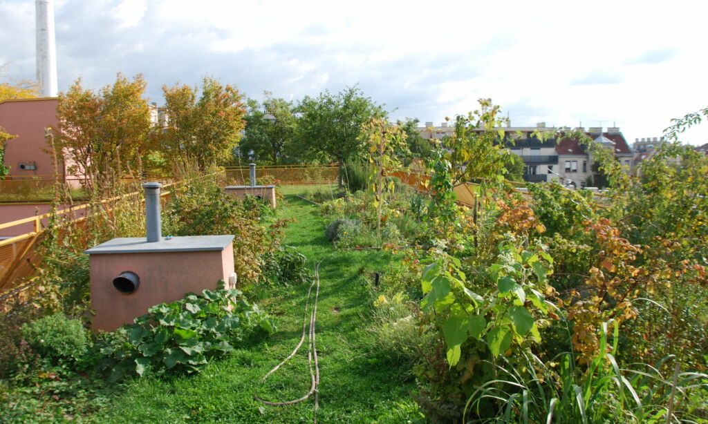 Am 15. Oktober findet eine KickOff-Veranstaltung zum neuen Lehrberuf in der Berufsschule für Gartenbau & Floristik Kagran statt, bei der die Ausbildung präsentiert und offene Fragen beantwortet werden.