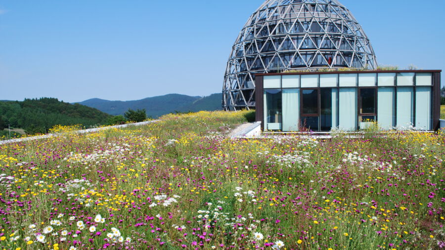 Abwechslungsreich und optisch ansprechend: Das Optigrün Naturdach