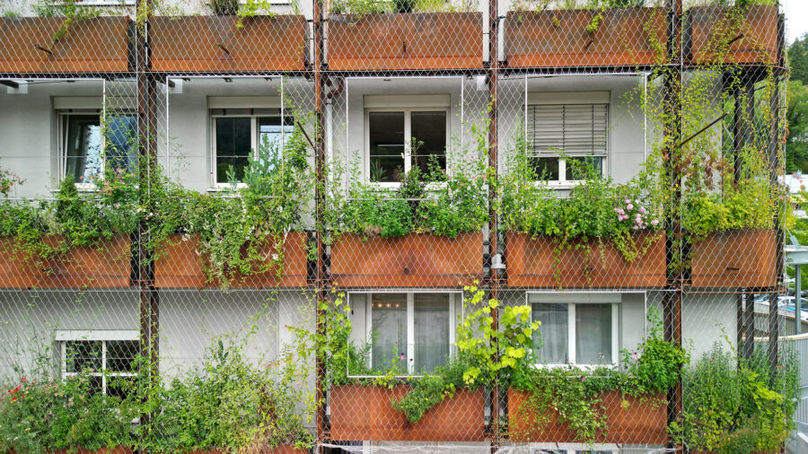 Frontalblick auf die Grünfassade