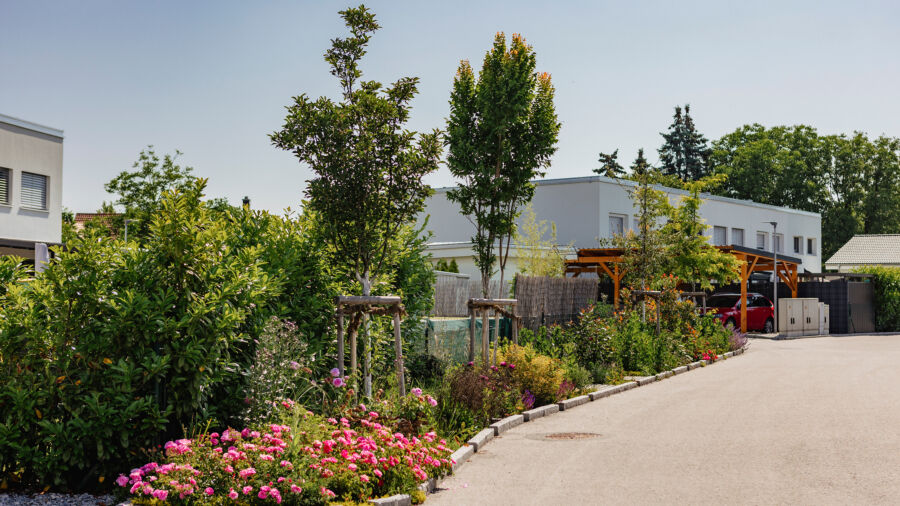 DrainGarden