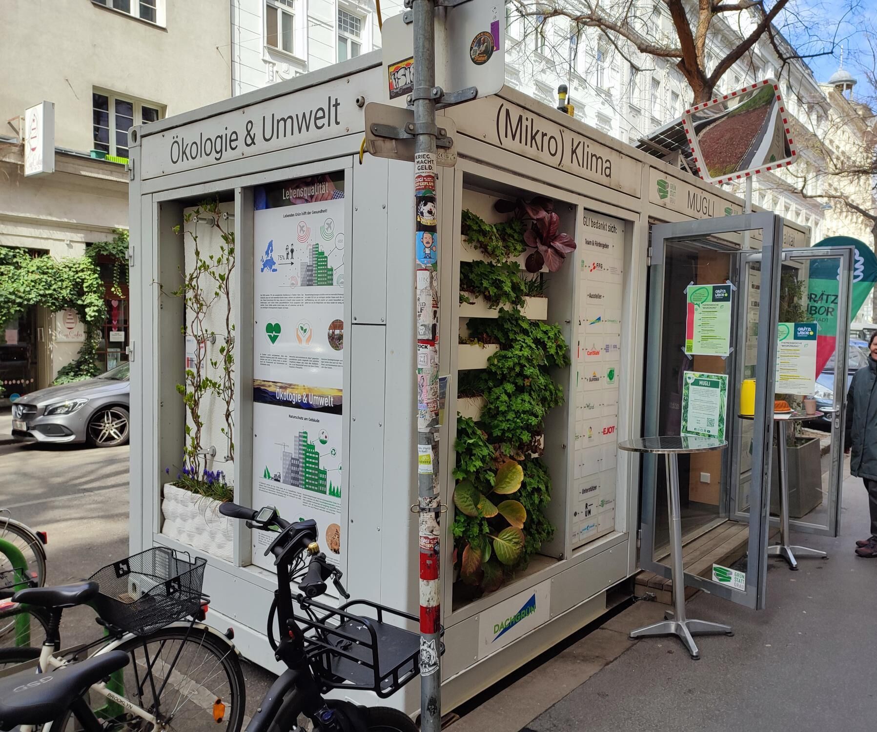 2025_04_08_MUGLI-Albertgasse-_C_GRÜNSTATTGRAU-_3_