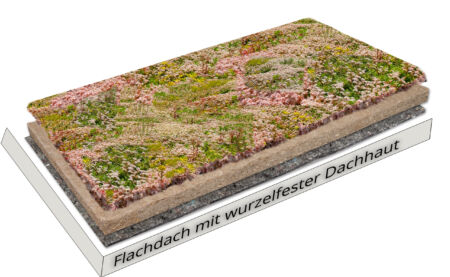 Logo Logo von Naporo Dachbegrünung