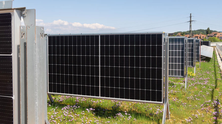 Vertikale Bifaziales Solargründach © 2025 Weiss+Appetito 
