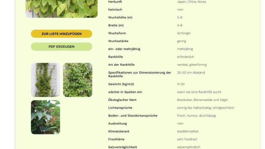 Kletterpflanzen NAVI - Auswahlergebnis