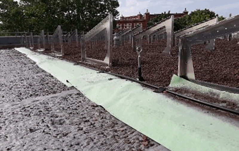 Auf Fixodrain XD 20 sind die Solarbasisplatten SB 200 mit den Solargrundrahmen platziert. Darüber liegt das Aquafleece AF 300 (grün) mit seinen Tropfschläuchen.