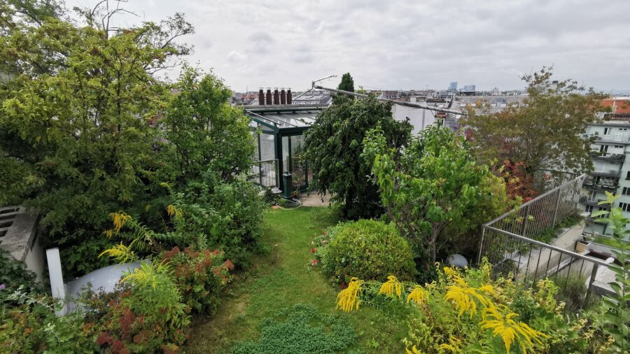 Messtandort GRÜNSTATTGRAU und Steinbauer Development mit einer intensiven Dachbegrünung (c) GRÜNSTATTGRAU