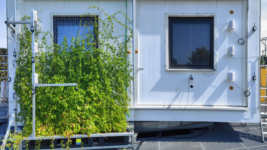AEE INTEC Fassadenprüfbox mit Vertikalbegrünung (c) Martina Majcen, AEE INTEC