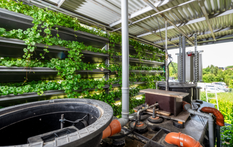 Regenwassergewinnung