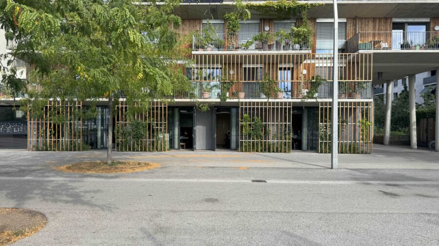 Fassadenbegrünung (C) einszueins Sarah Schoberleitner