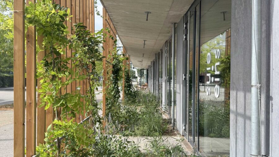 Fassadenbegrünung (C) einszueins Sarah Schoberleitner