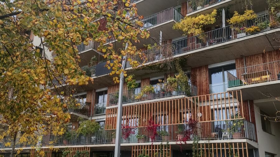 Fassadenbegrünung, Herbst (C) GRÜNSTATTGRAU