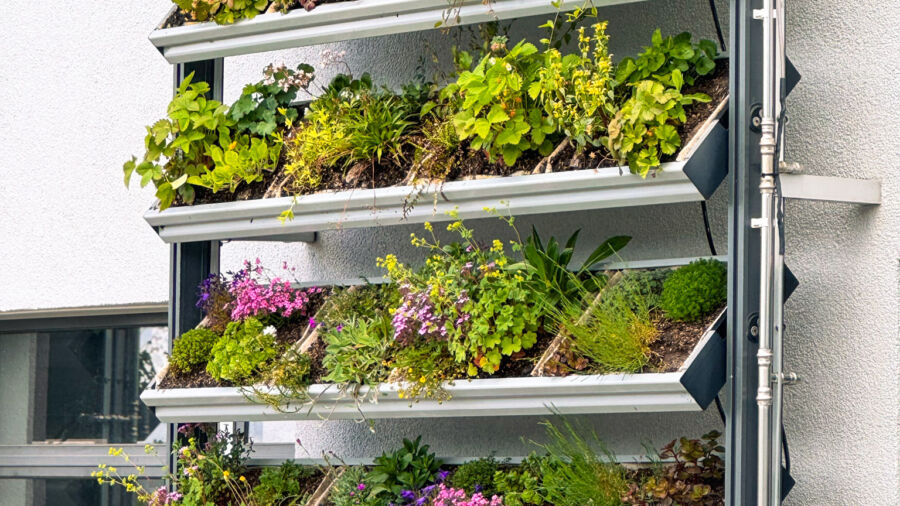 Fassadenbegrünung cityLam