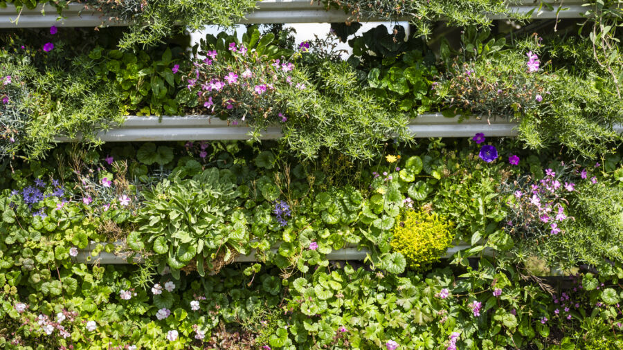 Bepflanzung im cityCube