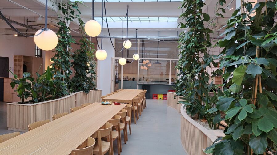 Stahlseilzüge von der Decke