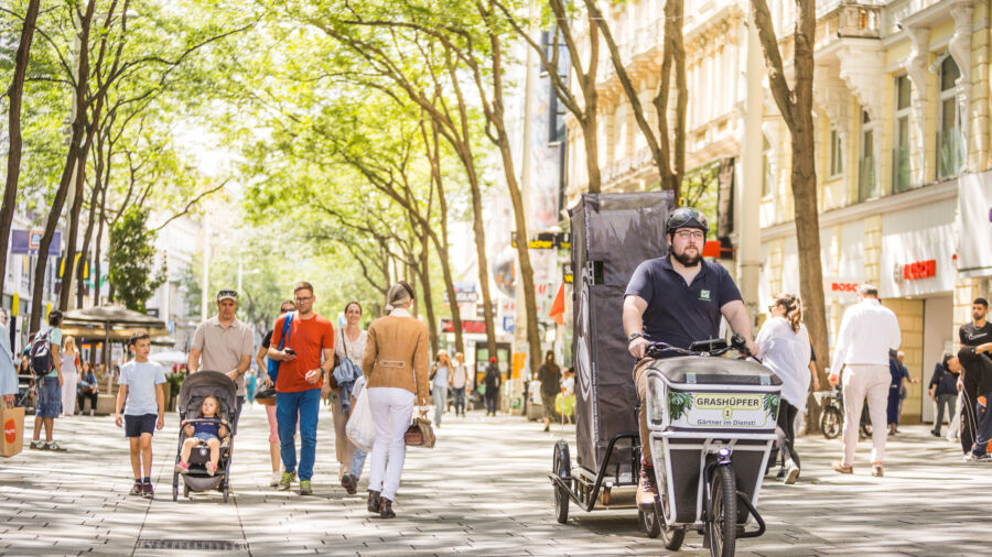 Klimaneutrale Pflanzenpflege