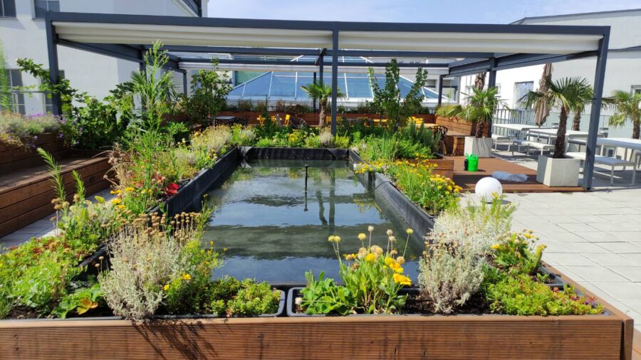 Terrassenbegrünung & Naschbeet