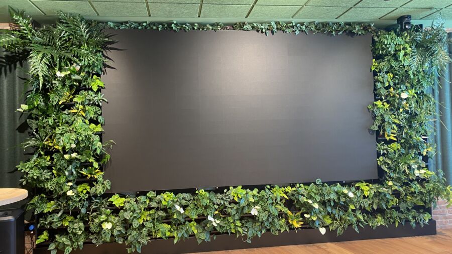 Grüne Wand, Hotel Schani